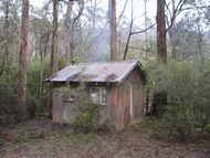 Album: Stockyard Creek Hut 